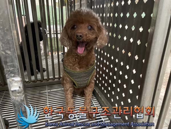 한국동물구조관리협회_441406202401358